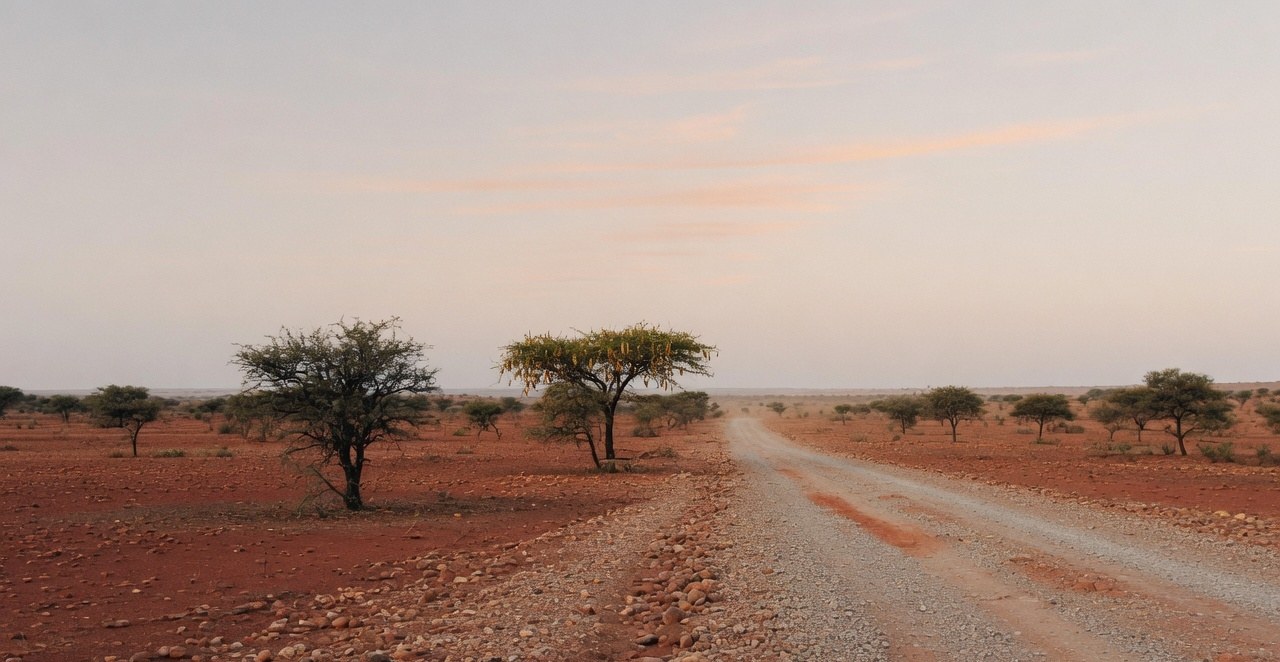 Illustrative photograph of a gravel road across red semi-desert